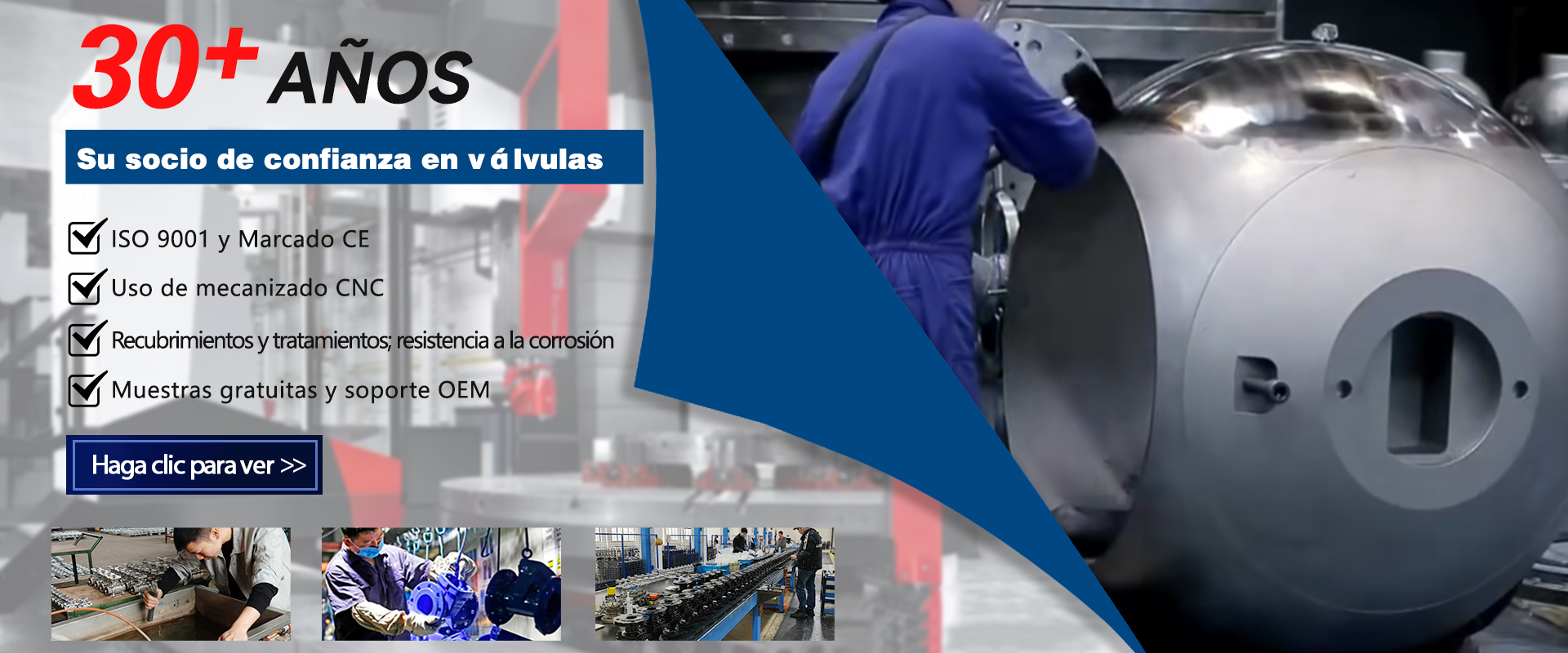 Ventajas de la empresa Ventajas de la empresa