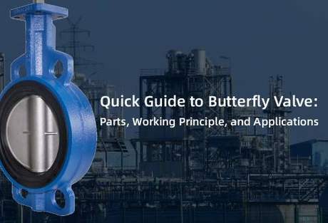 Butterfly Valve News.jpg