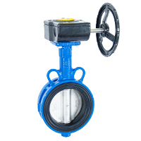 V&aacute;lvula de mariposa de fl&uacute;or revestida el&eacute;ctricamente